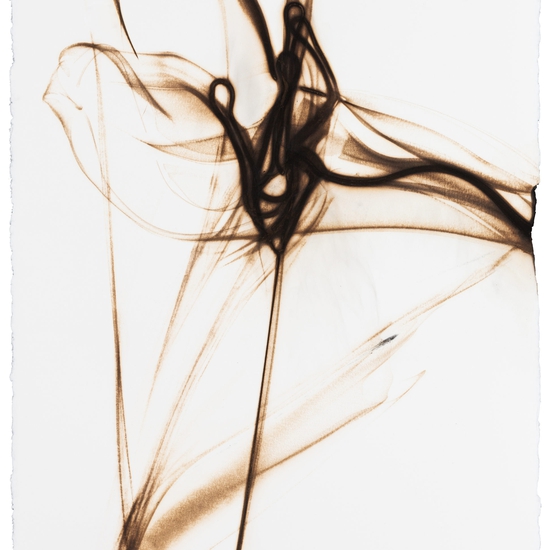 Etsuko Ichikawa: Trace 3414, 2014, Glass pyrograph on paper, 30 x 22.5 inches