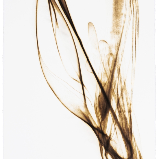Etsuko Ichikawa, Trace Glass pyrograph on paper, drawing with fire, black and white, gestural, Japanese american artist, blown glass, pilchuck, museum of glass, work on paper