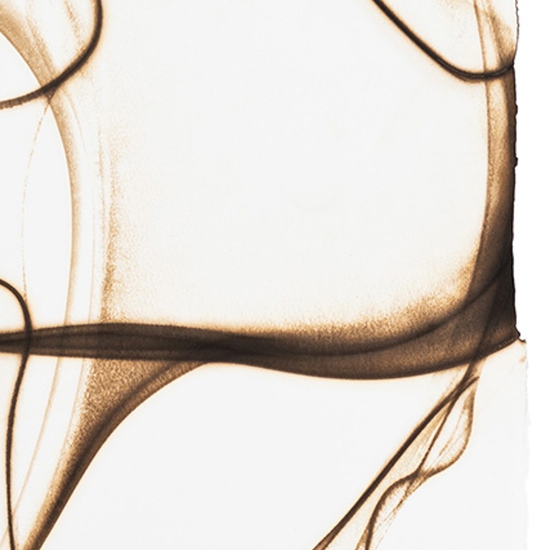 Details of "Trace 8413"