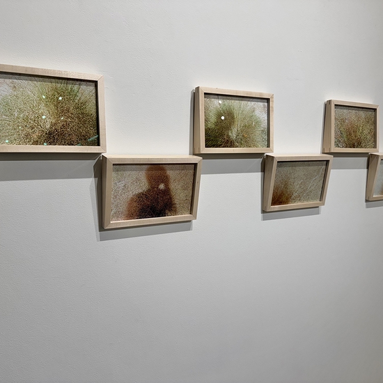 Derrick Velasquez, Diffuse, Install