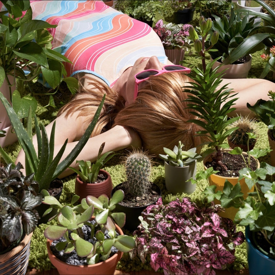 Margeaux Walter: The Field, 2020, Archival print, Available in various sizes