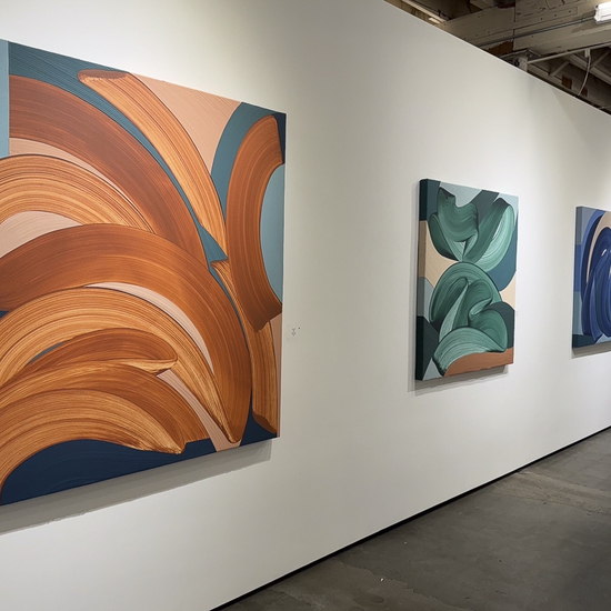 Michelle Weddle, Resonant Colour, 2024, Installation.