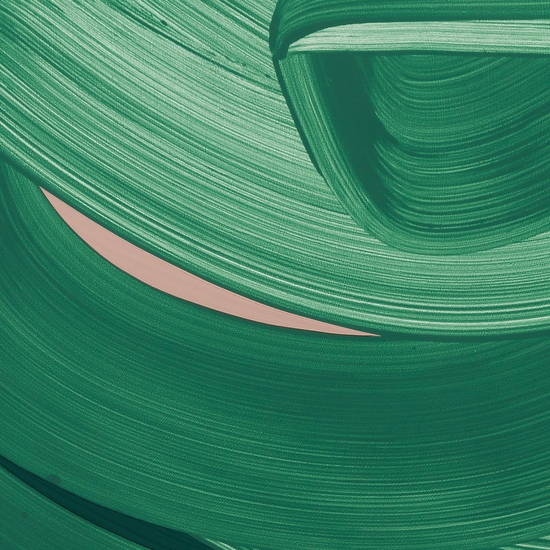 Details of "Bloom"