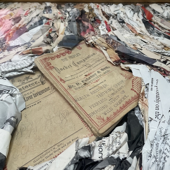 Detail of 'Ant Farm: Peoples Pocket Companion'