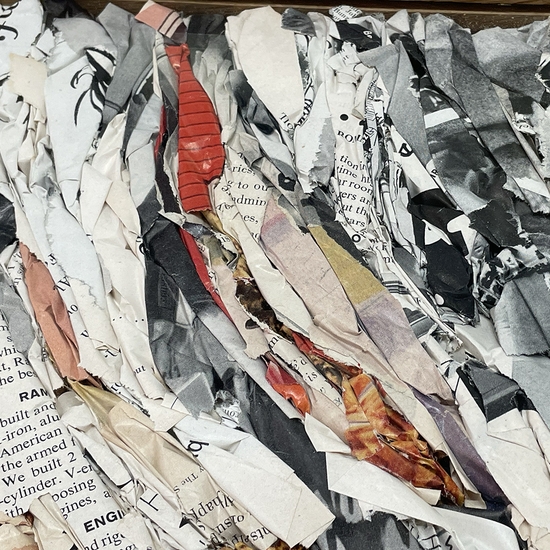 Detail of 'Ant Farm: Peoples Pocket Companion'