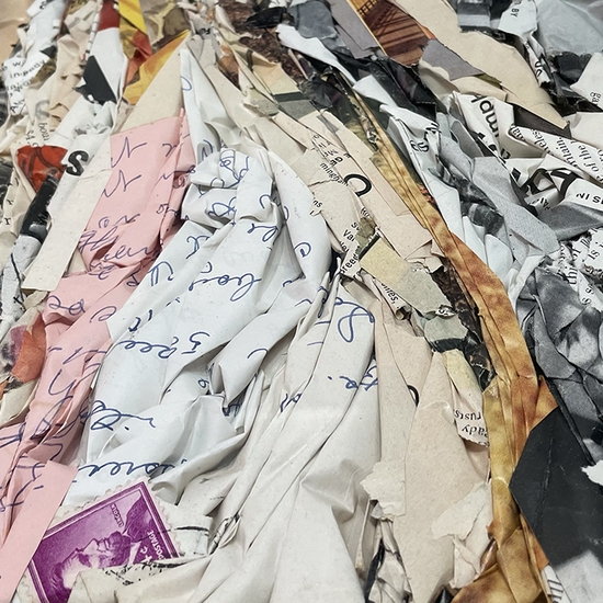 Detail of 'Ant Farm: Peoples Pocket Companion'