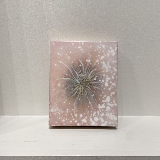 Installation of "Untitled 4382"