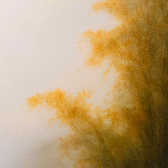 Detail of 'Untitled #5500'