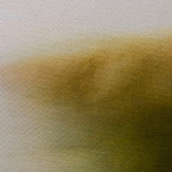 Detail of "Untitled #5501"