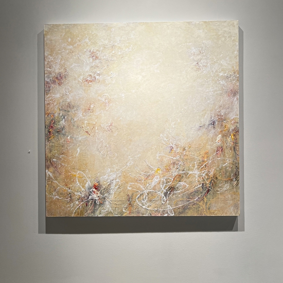 Installation of 'Europa Reveries of Galileo'