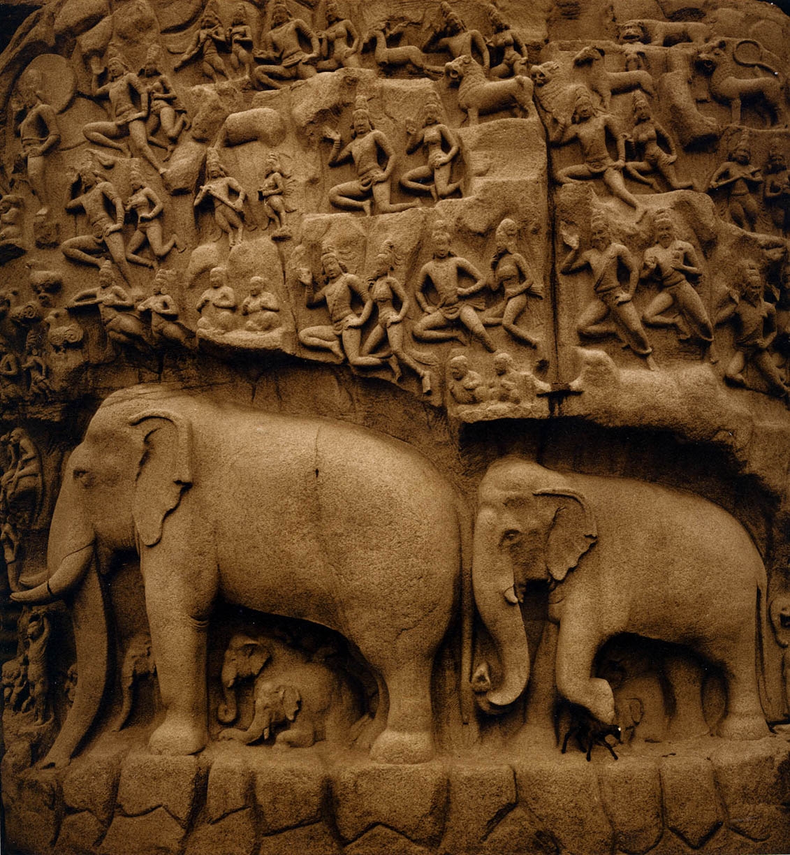 Rena Bass Forman, India #13, 1999, Sepia toned gelatin silver print, 38 x 38 inches, Edition of 7