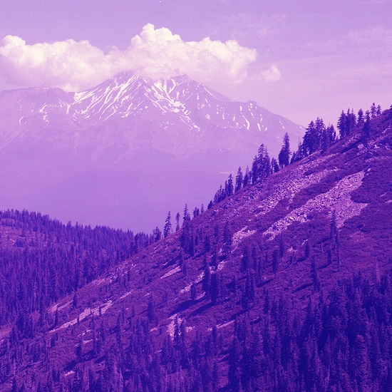 Detail of 'North Cascades National Park, Washington'