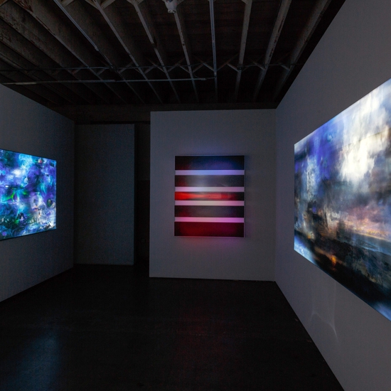Installation view of Maja Petric Skies West Gallery exhibition, 2018