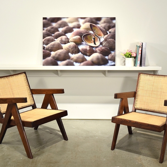 Gallery install of 'Clamshell Lovers'