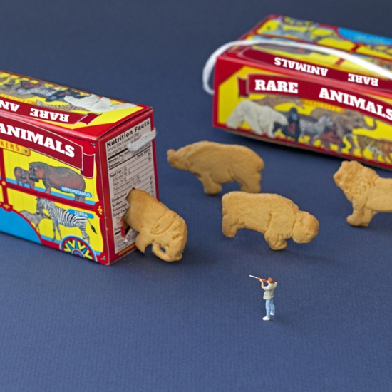 Rare Animal Breakout